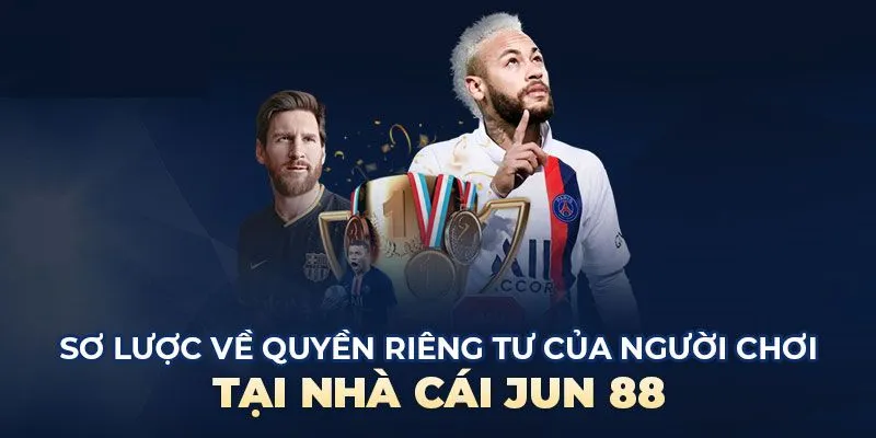 Giới thiệu ngắn về chính sách quyền riêng tư