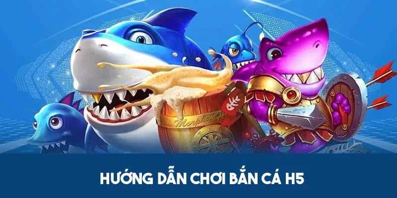 Quy tắc cơ bản, chế độ chơi và các bước tham gia